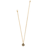 Twilight Waters Shell Necklace